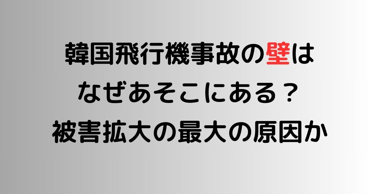 韓国飛行機事故の壁はなぜあそこにある？被害拡大の最大の原因か